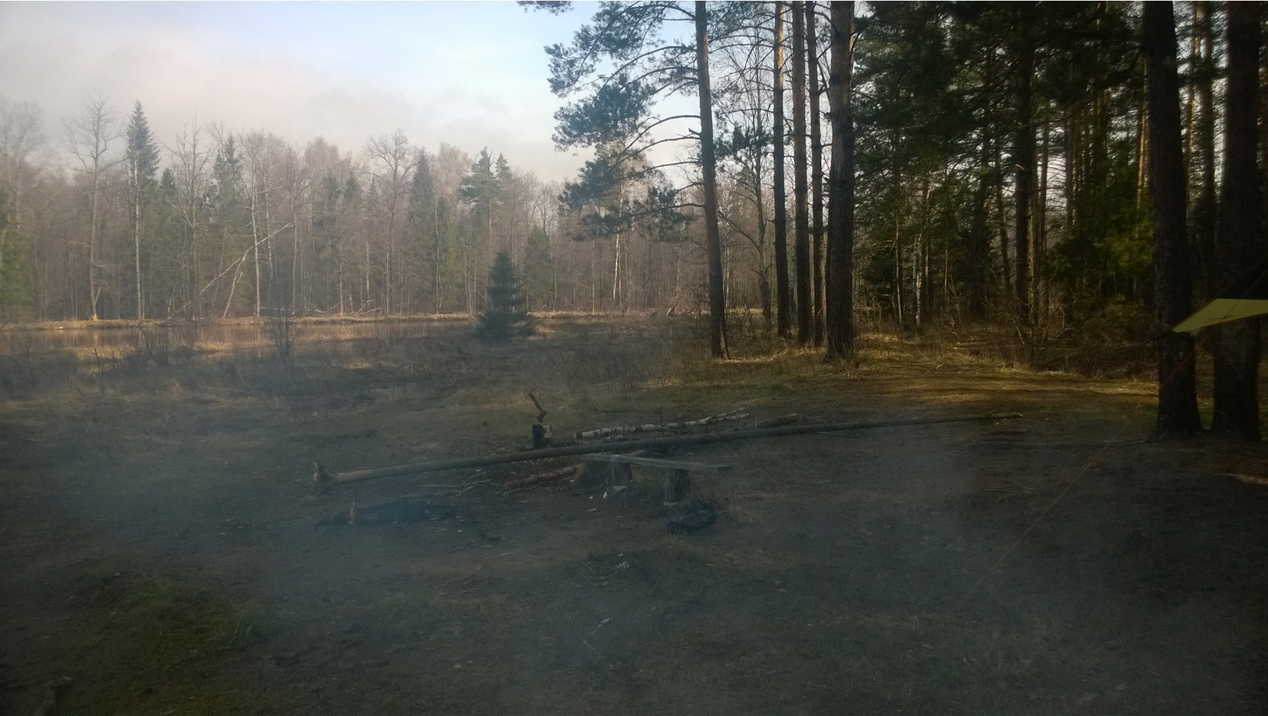 WP 20180502 001.jpg