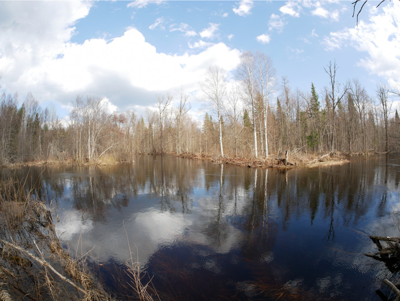 P1010655.JPG