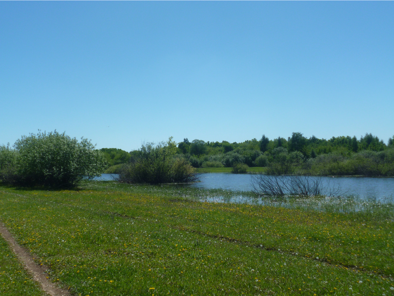 P1010207.JPG