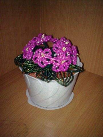 фиалки