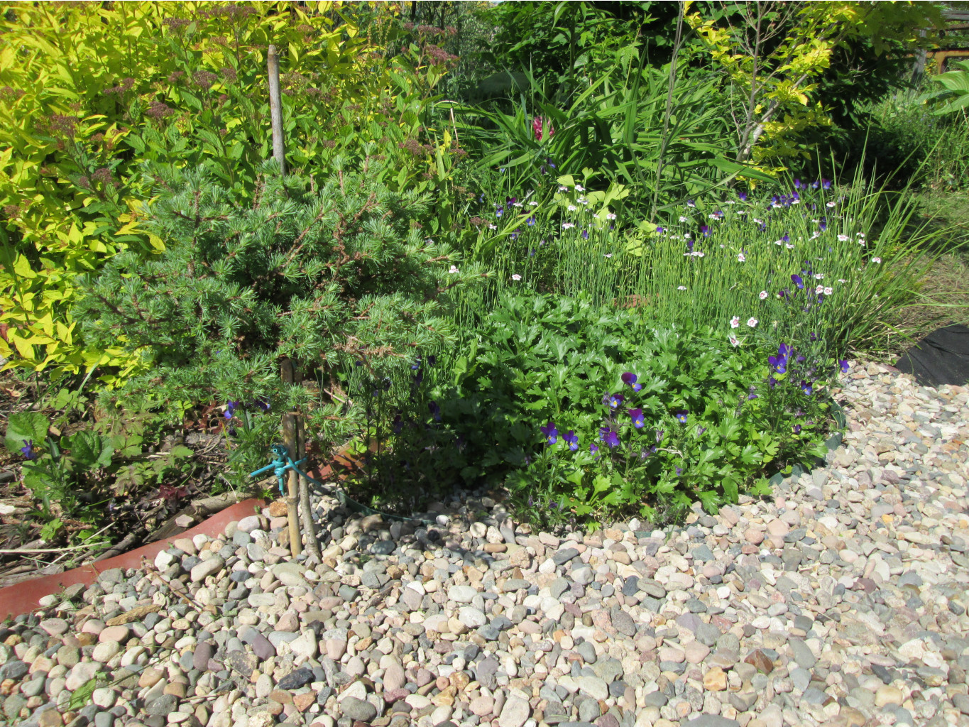 IMG 5409.JPG