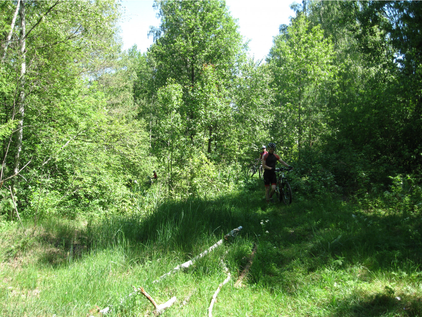 IMG 6683.JPG