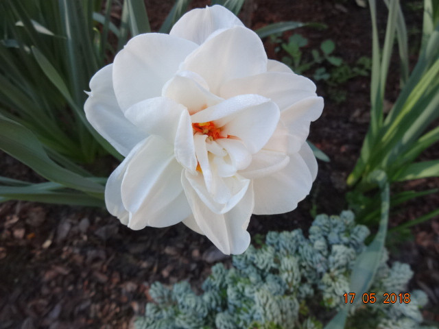 DSC04383.JPG