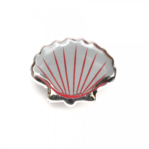  Pectinidae /