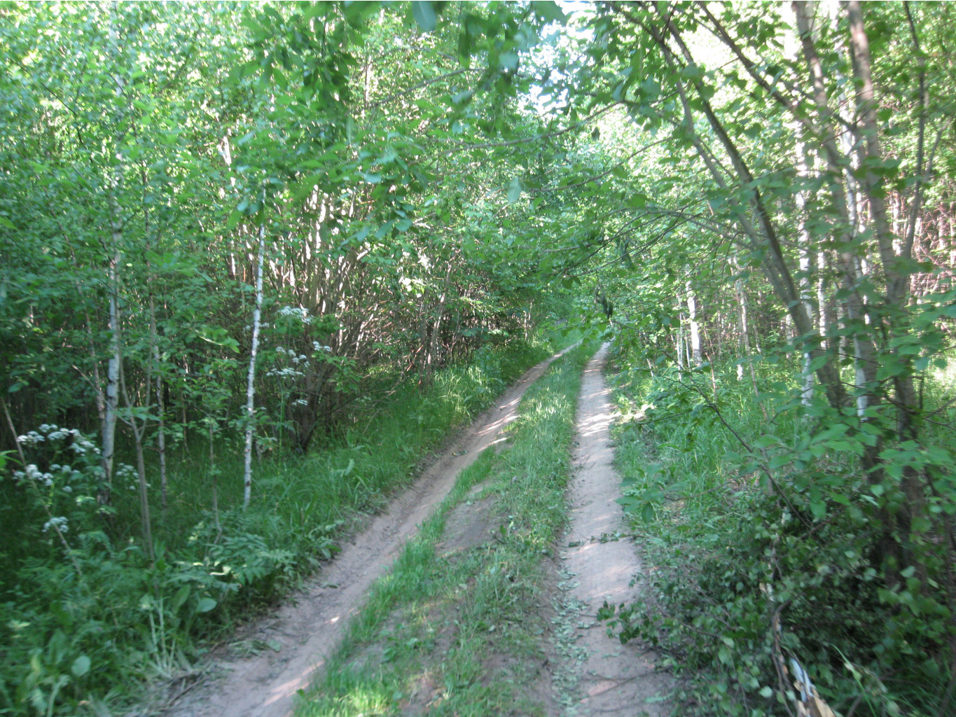 IMG 6908.JPG