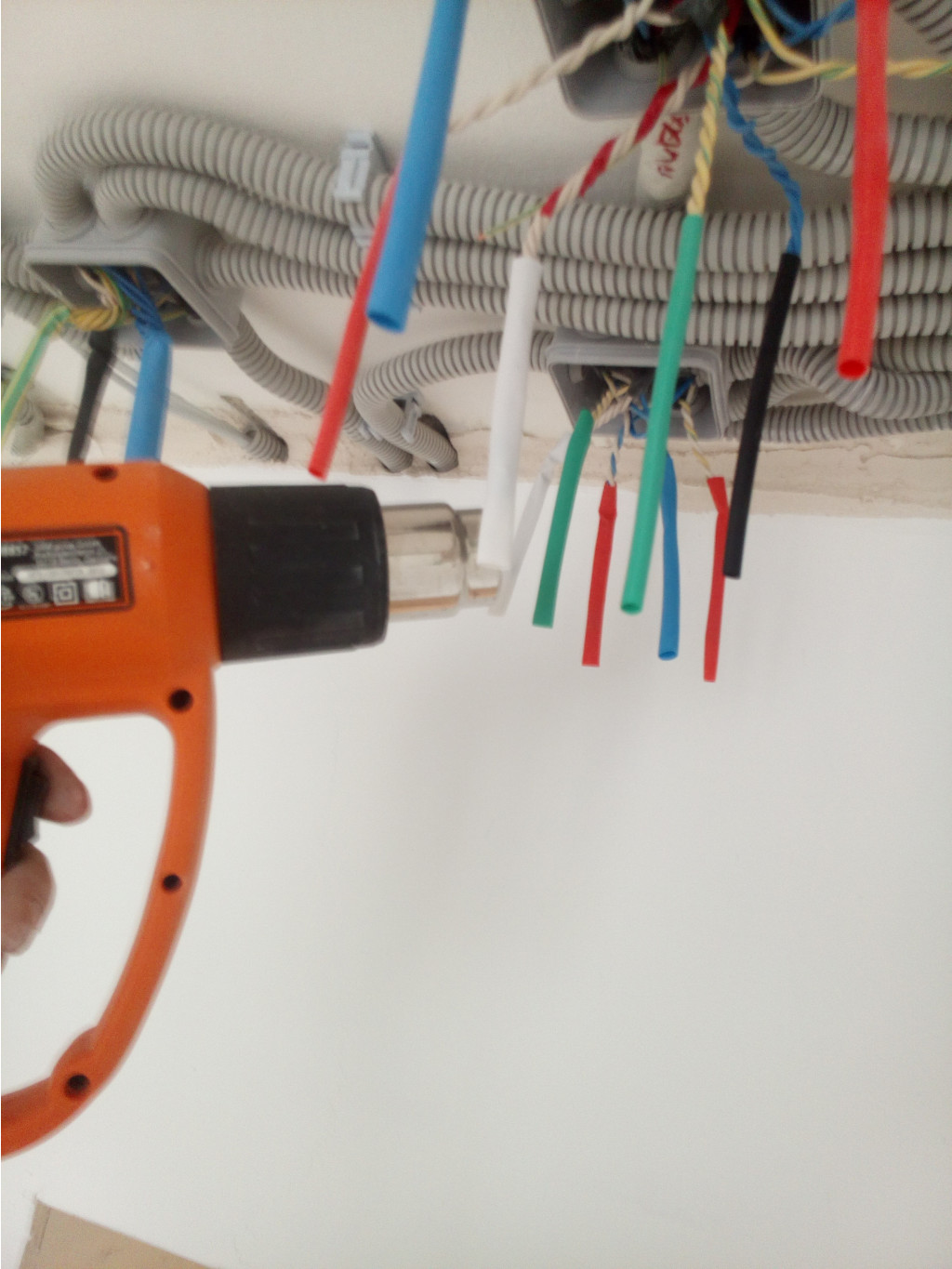 IMG 20180428 123118.jpg