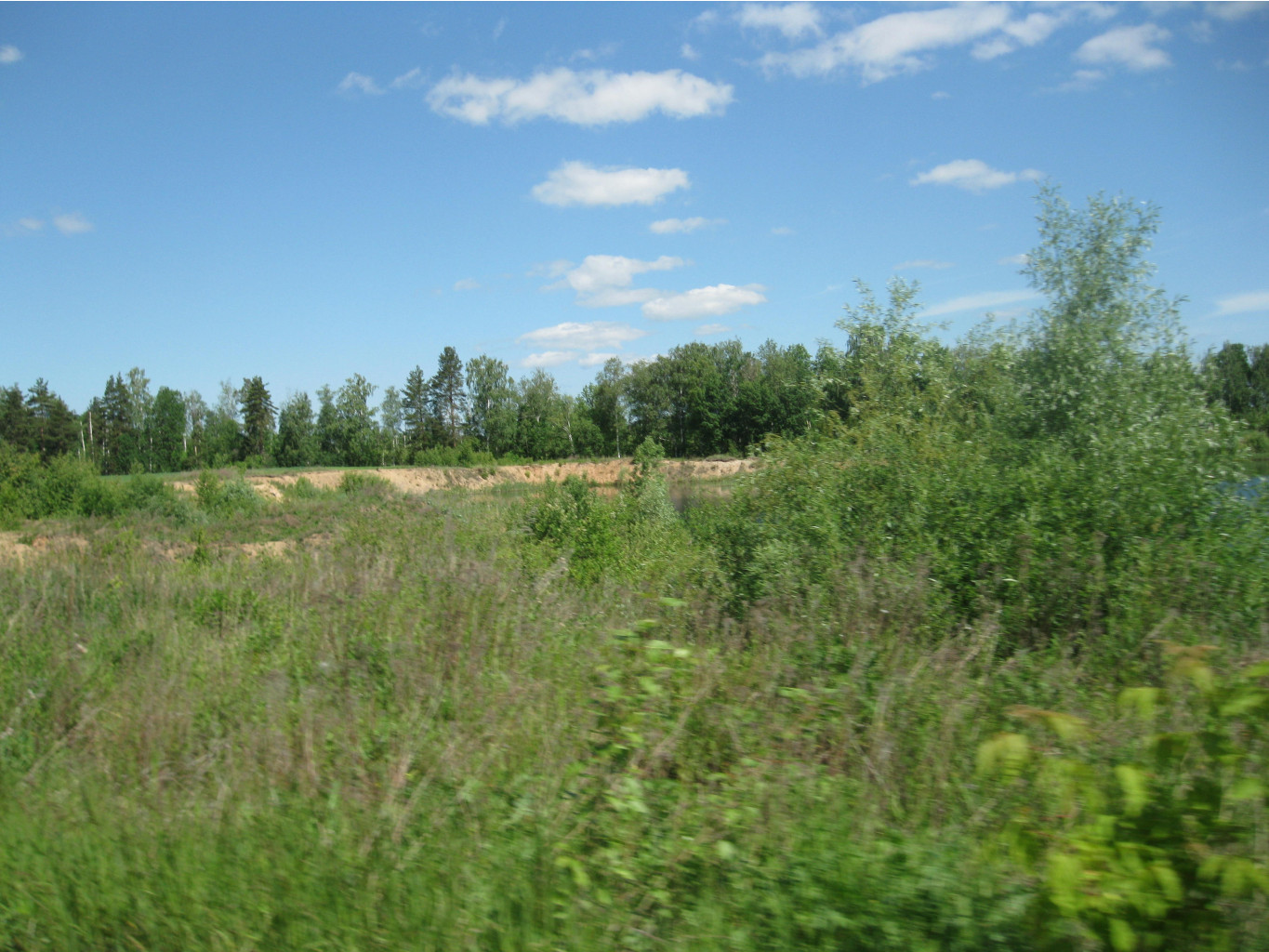 IMG 6615.JPG