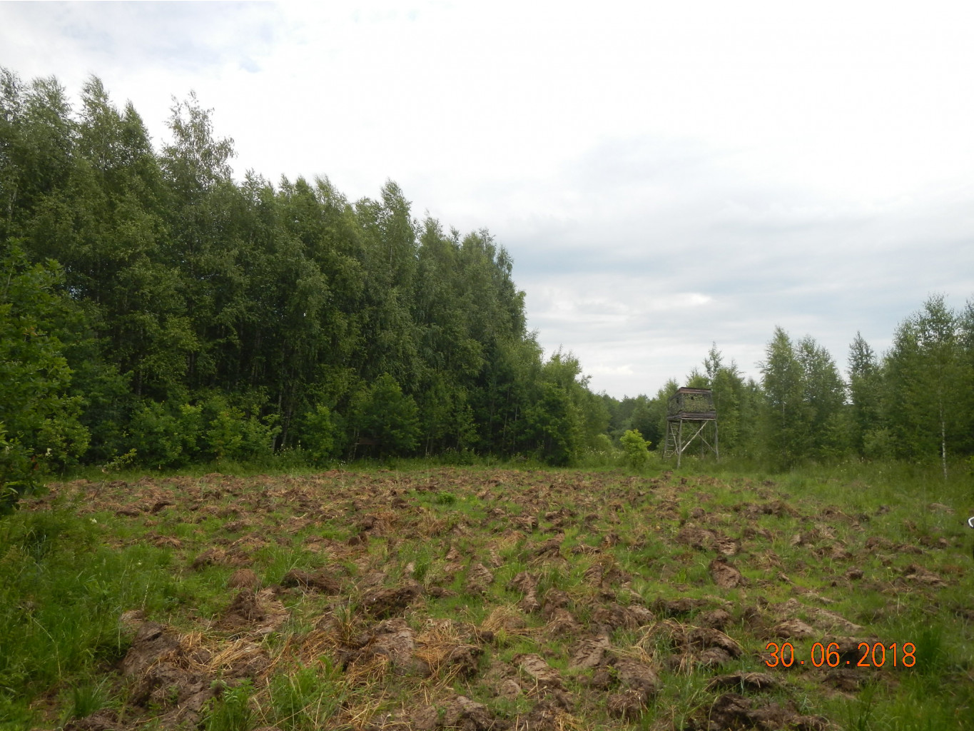 DSCN4248.JPG