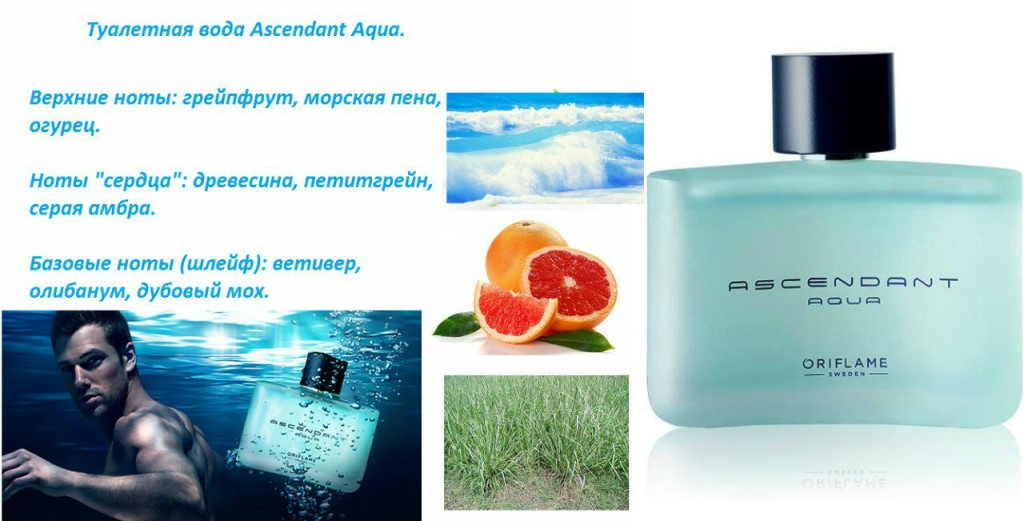 Туалетная вода Ascendant Aqua [Эсендент Аква] 30540 75мл