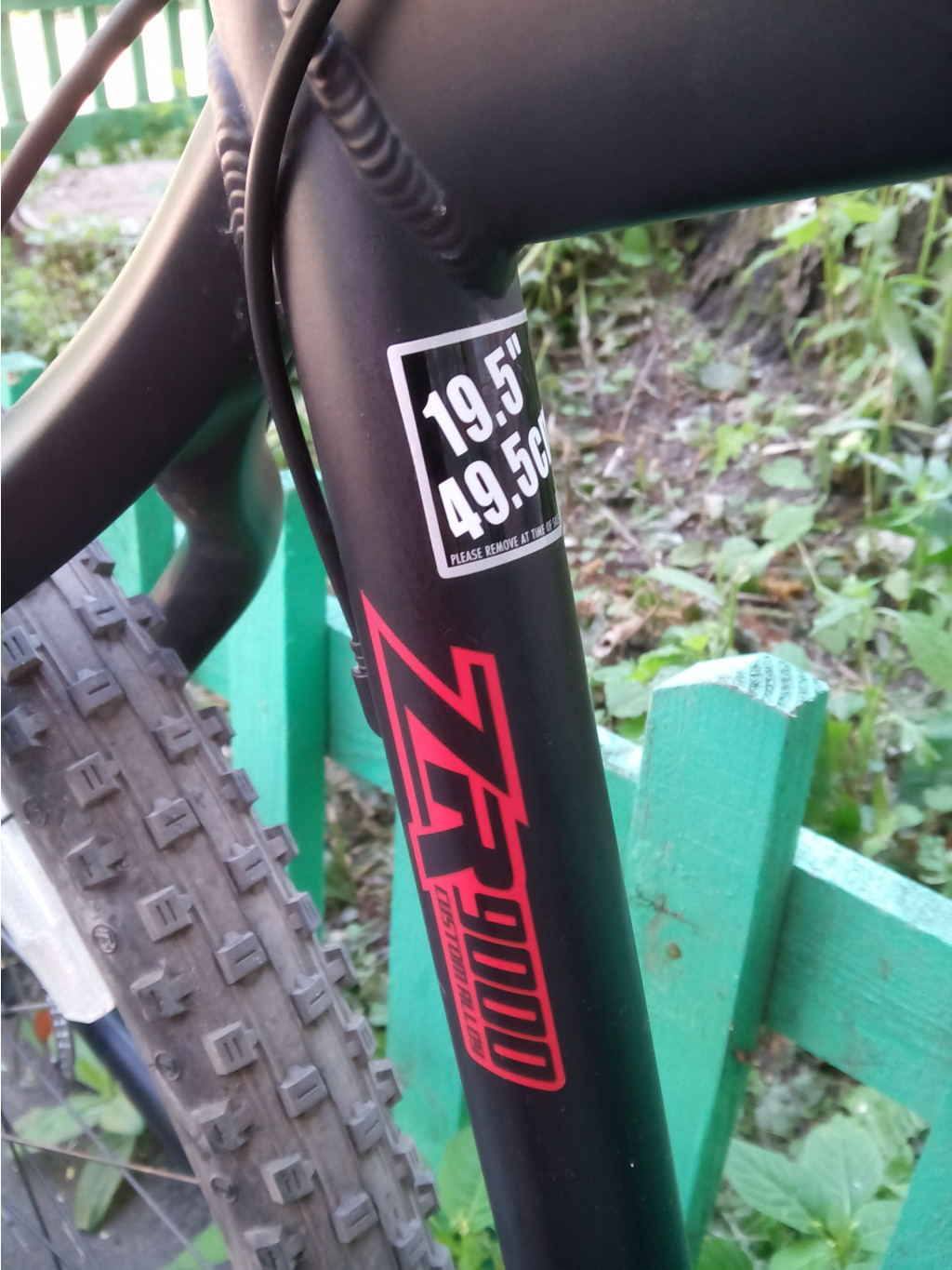 IMG 20180626 091457.jpg