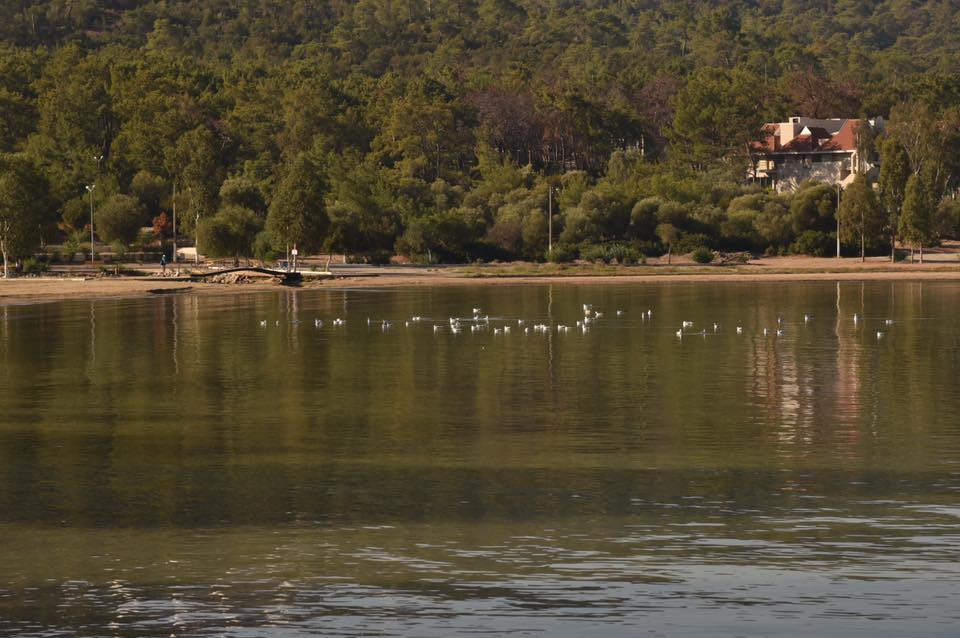 22555014 10155662387679566 5376641251139174338 n.jpg