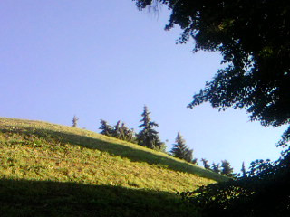 SP A0147.jpg