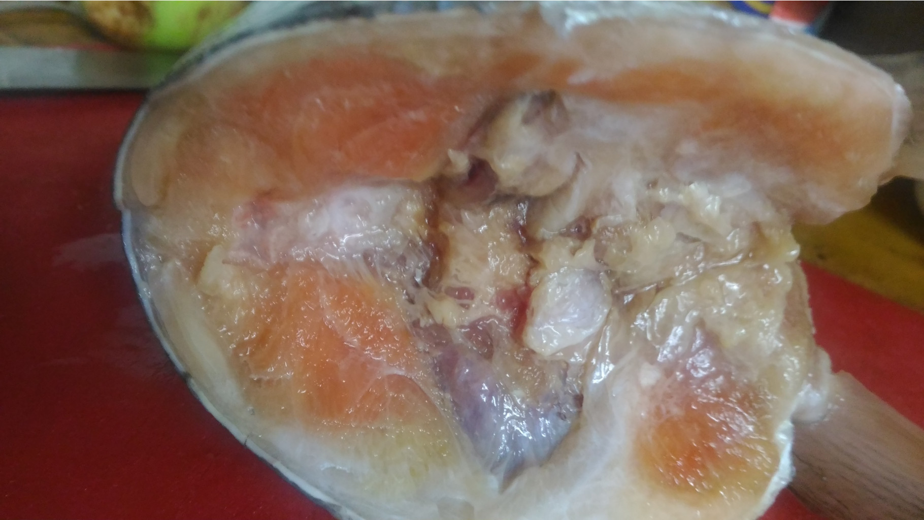 P 20180721 132117.jpg