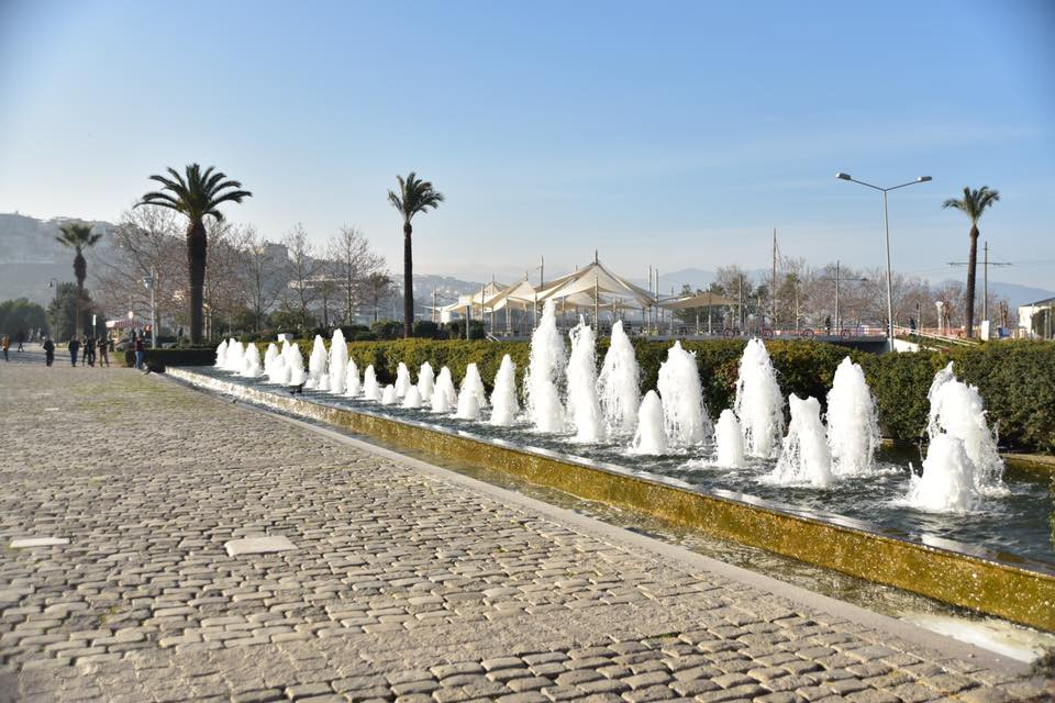 26805360 10155872753464566 7461343171463579320 n.jpg