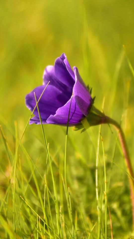 26731128 10155887027009566 8415504473797999929 n.jpg