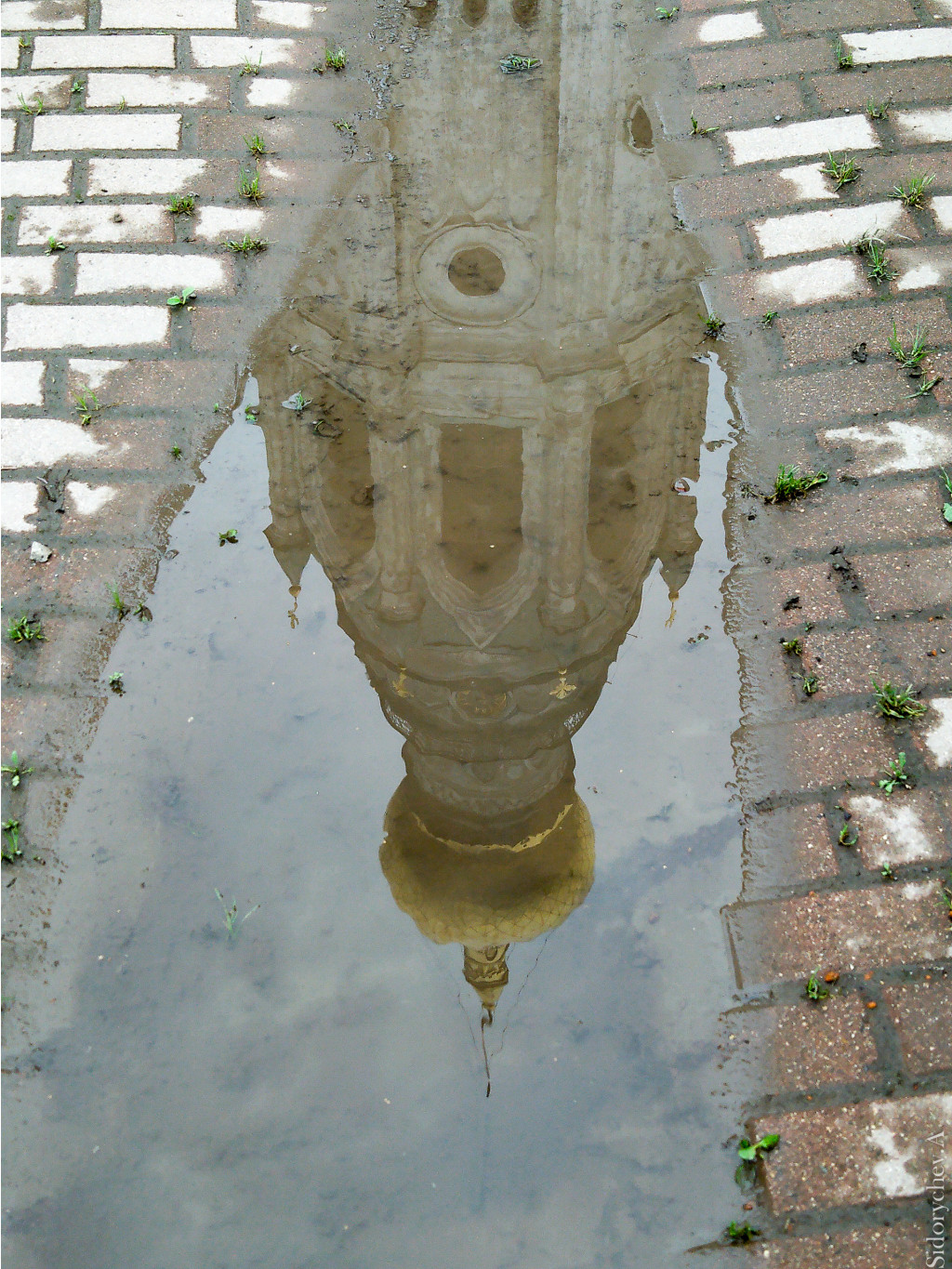 IMG 20180714 181605.jpg