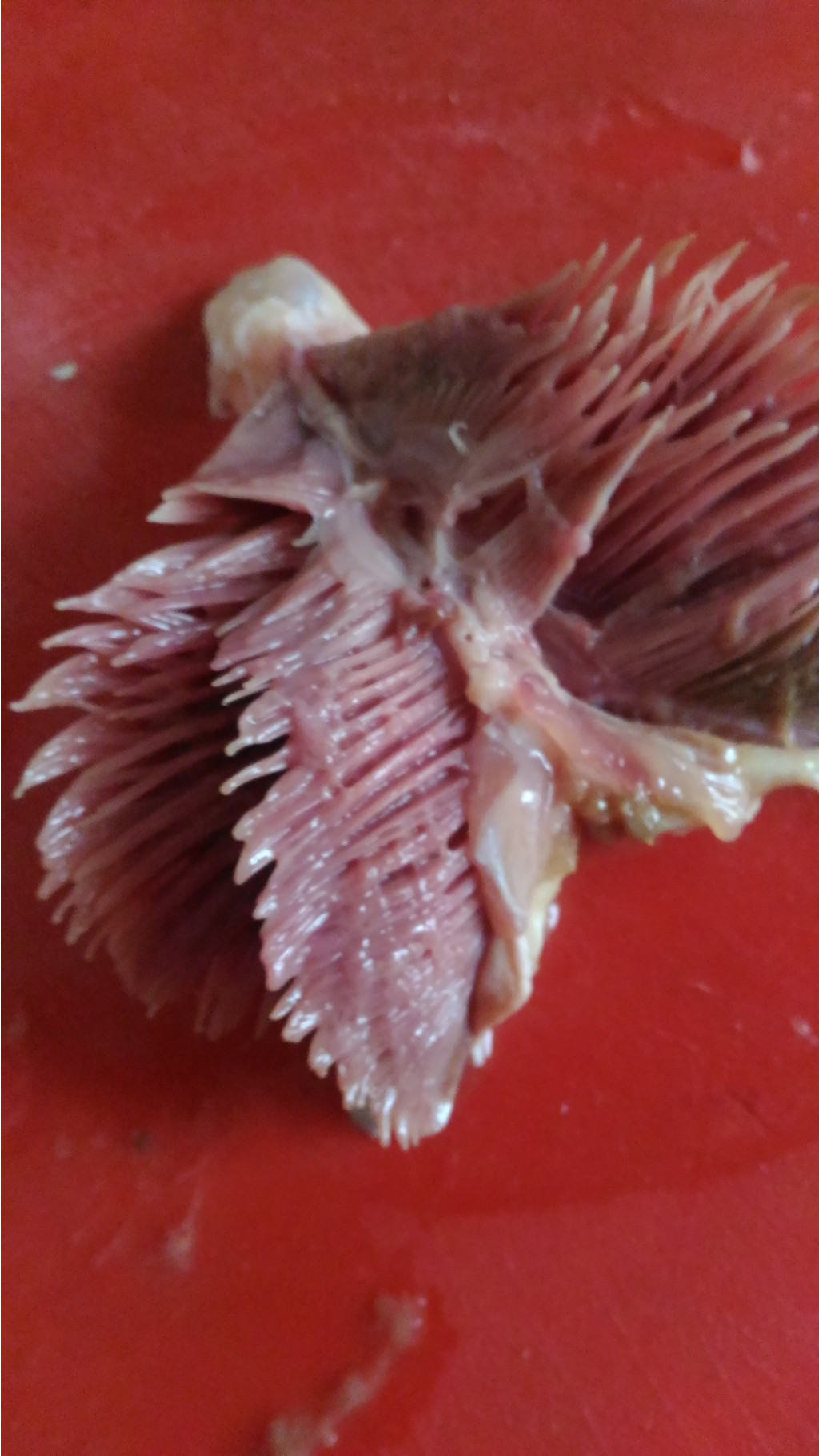 P 20180721 173847.jpg