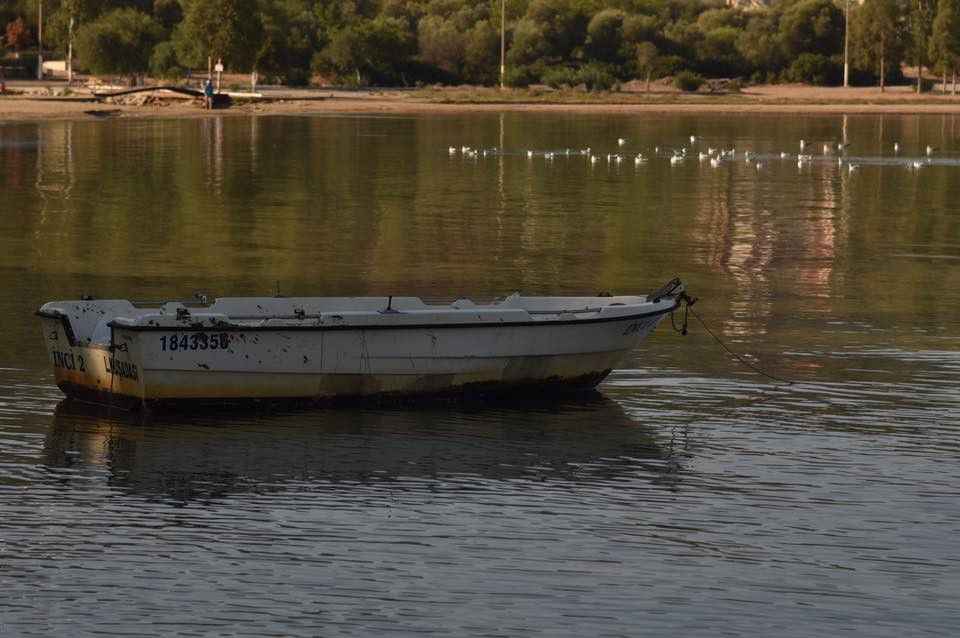 22688850 10155662387104566 2419122177839039574 n.jpg