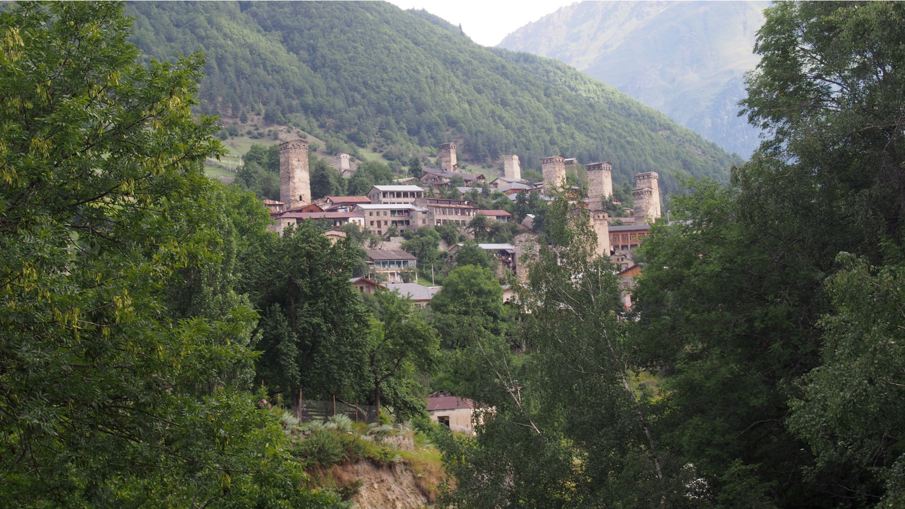 P7193942.JPG