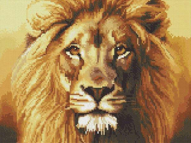   EF 223   30*40 : 535.00 RUB