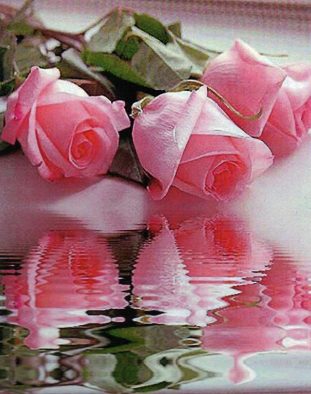   QA 201231  40*50 : 670.00 RUB