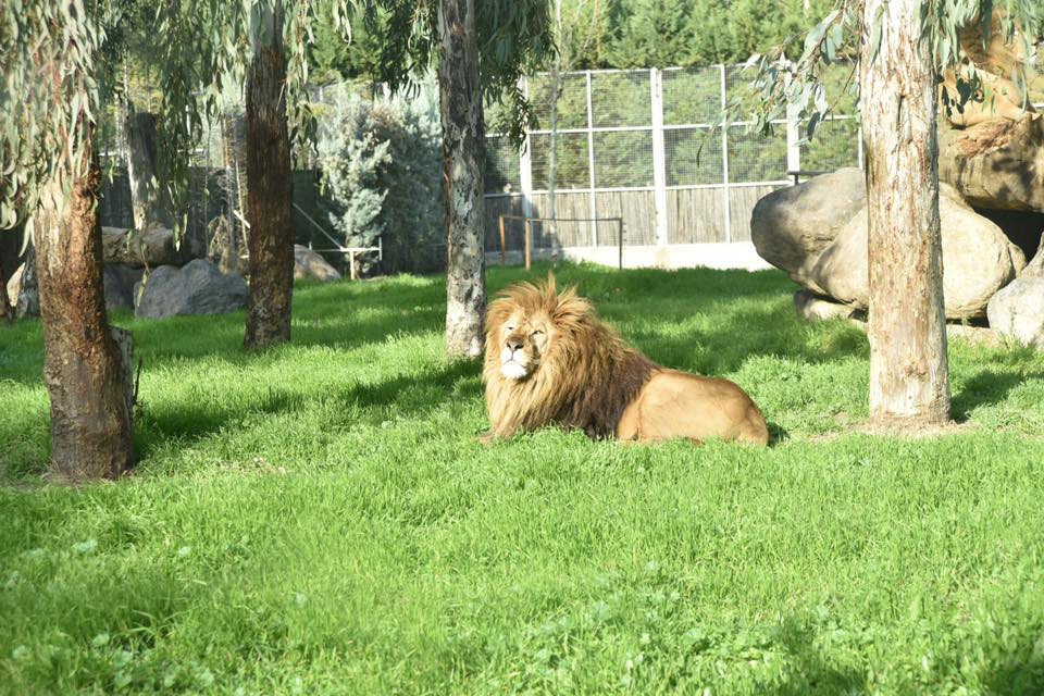 26733486 10155872757479566 2076499681456439440 n.jpg