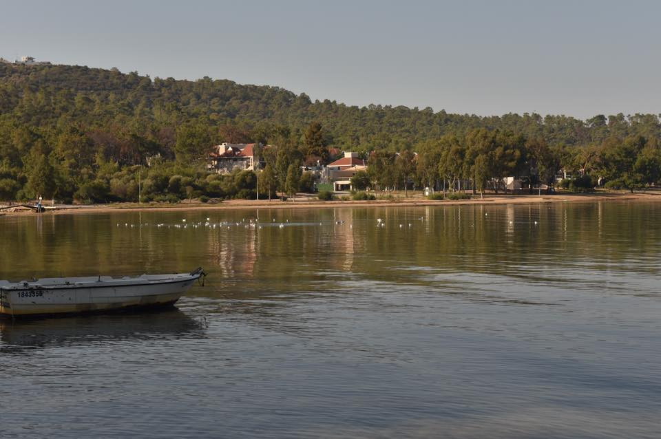 22688103 10155662387099566 8169203568770954741 n.jpg