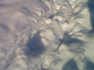 SP A0208.jpg