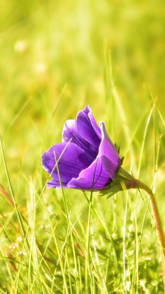 26733840 10155887026449566 8277175097064393375 n.jpg