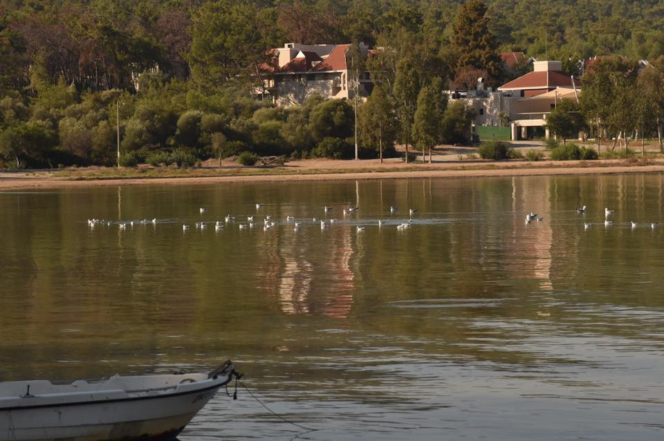 22729062 10155662387524566 6145529178318463886 n.jpg