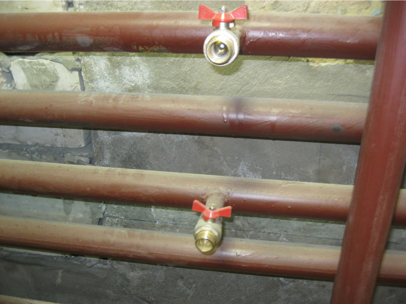 IMG 4686.JPG