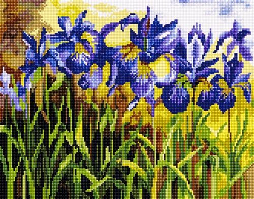   QA 201015  40*50 : 670.00 RUB