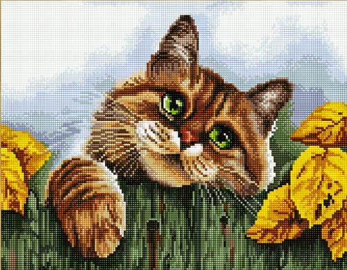   QA 200778    40*50 : 670.00 RUB