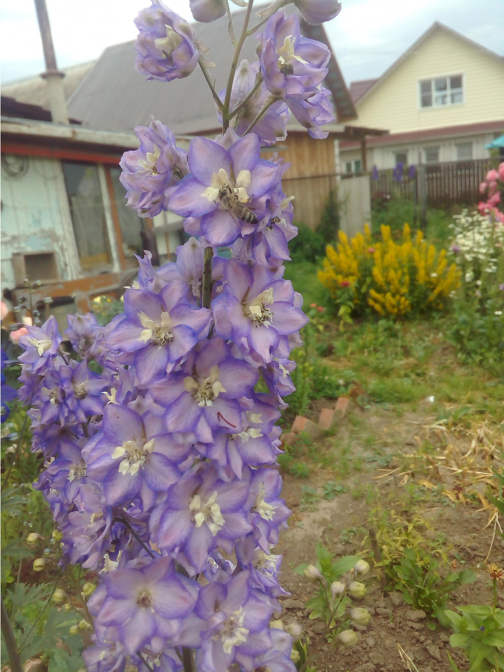 IMG 20180701 111652.jpg