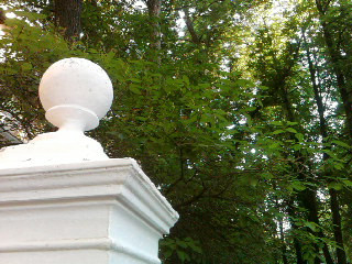 SP A0155.jpg