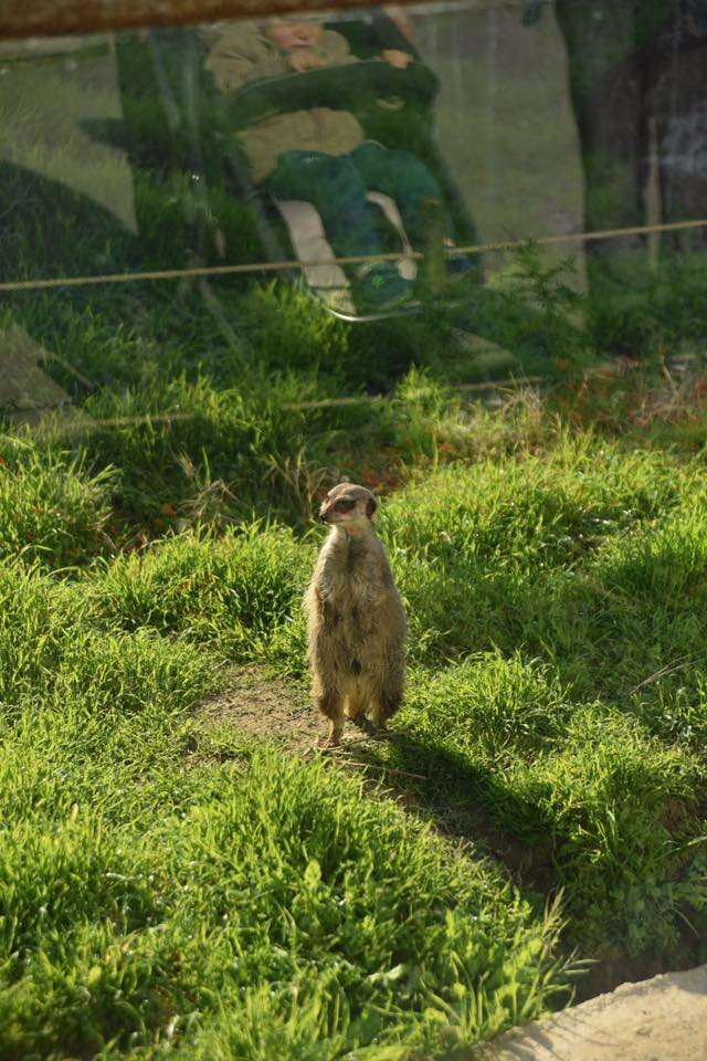 26229616 10155872757434566 3732019674802521317 n.jpg