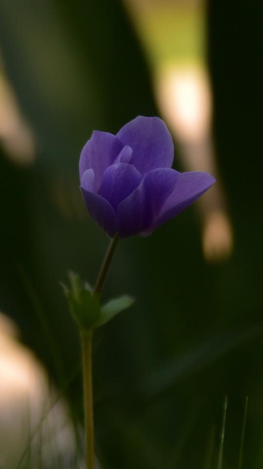 26231756 10155887026964566 5814141898751202609 n.jpg