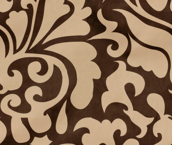 Fandy03 570x480.jpg