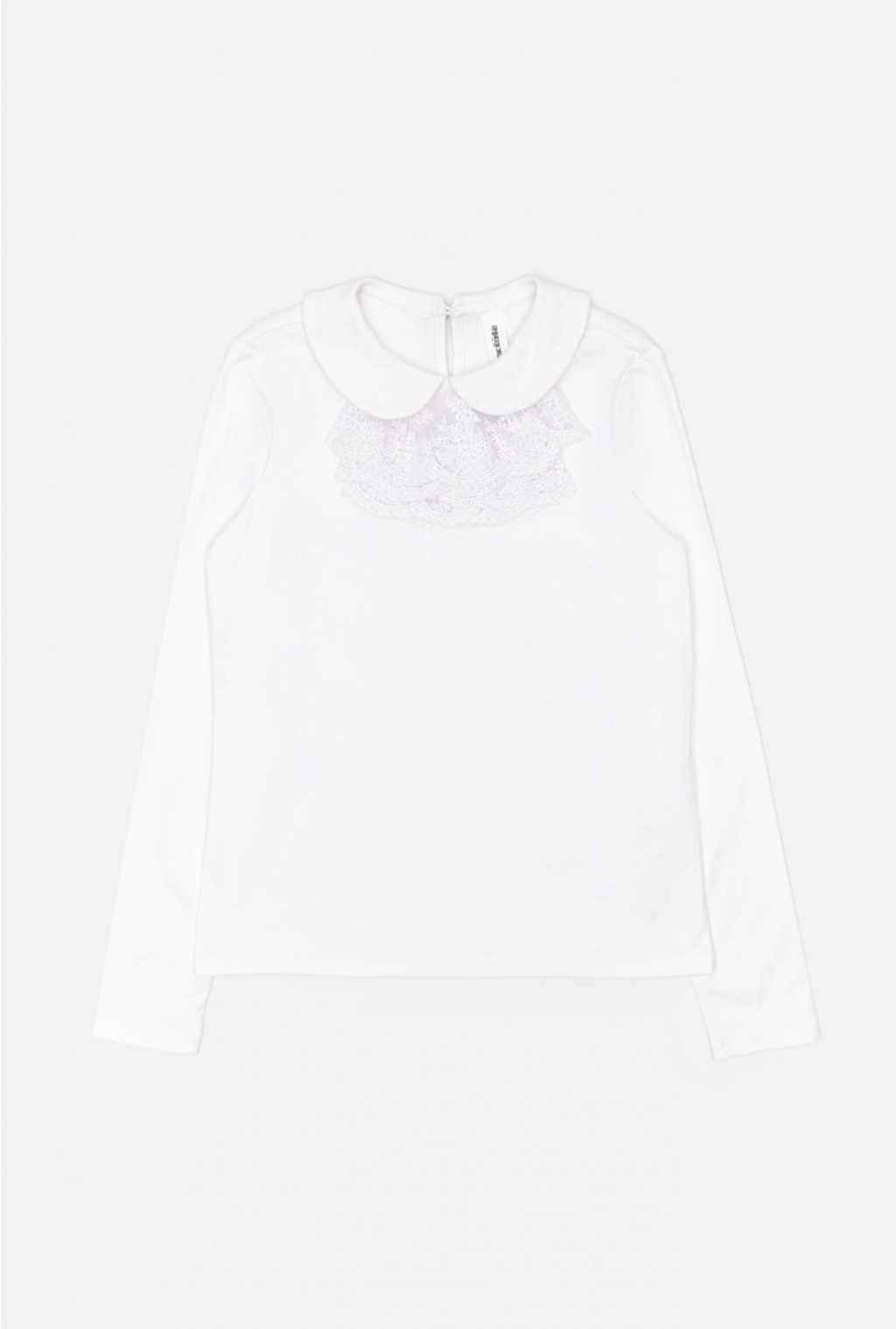 20240100025   Leps        (   ).jpg