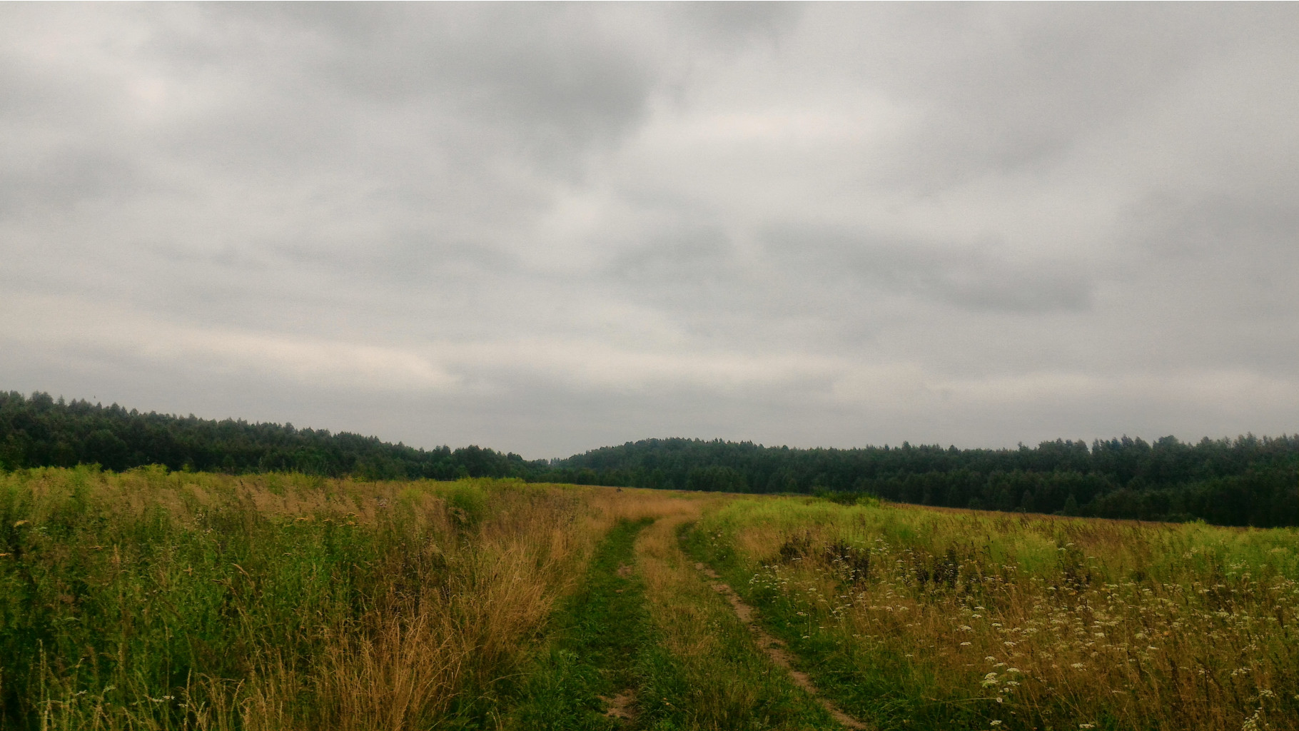 P 20180721 092644.jpg