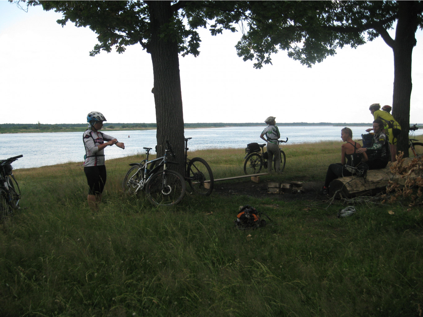 IMG 7126.JPG