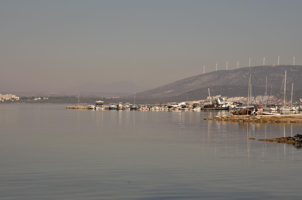 22687530 10155662387754566 5709544978479095095 n.jpg