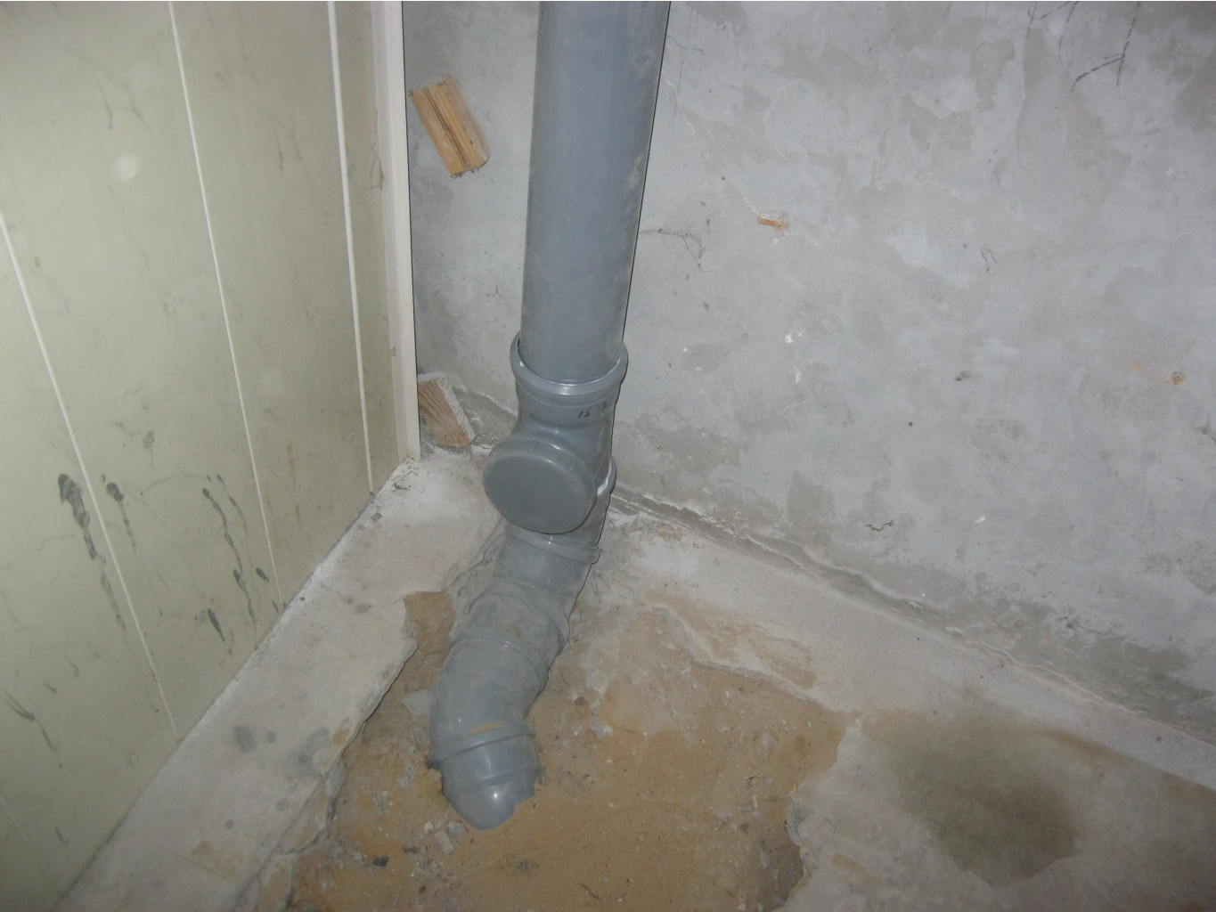 IMG 5335.JPG