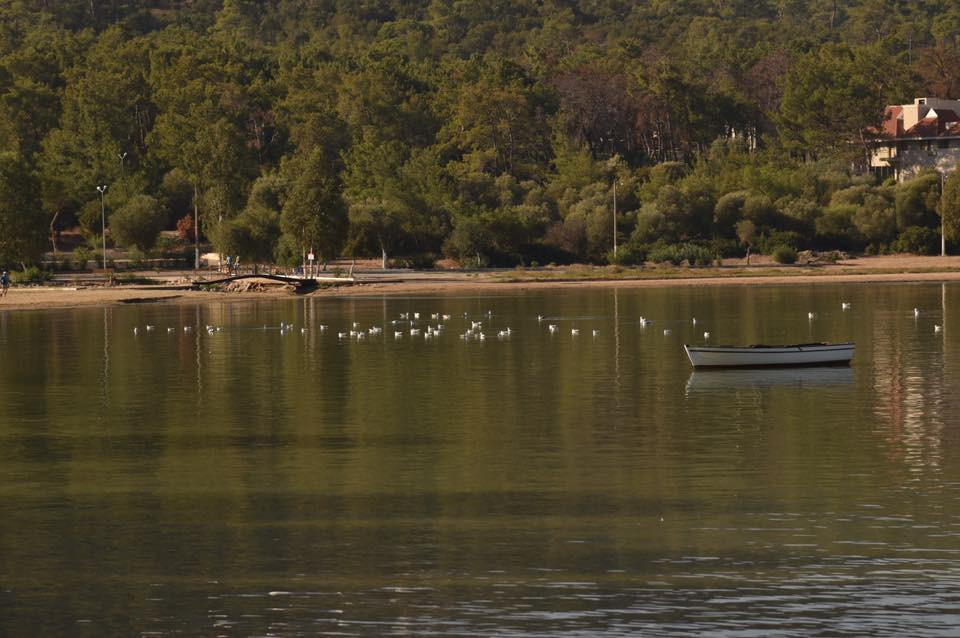 22687554 10155662387624566 8368659544748612668 n.jpg