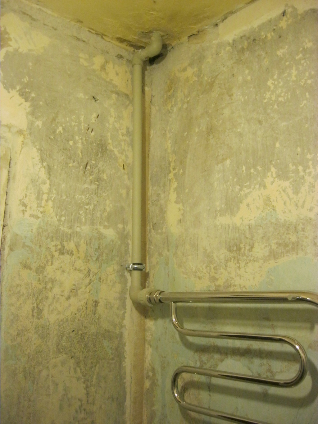 IMG 3346.JPG