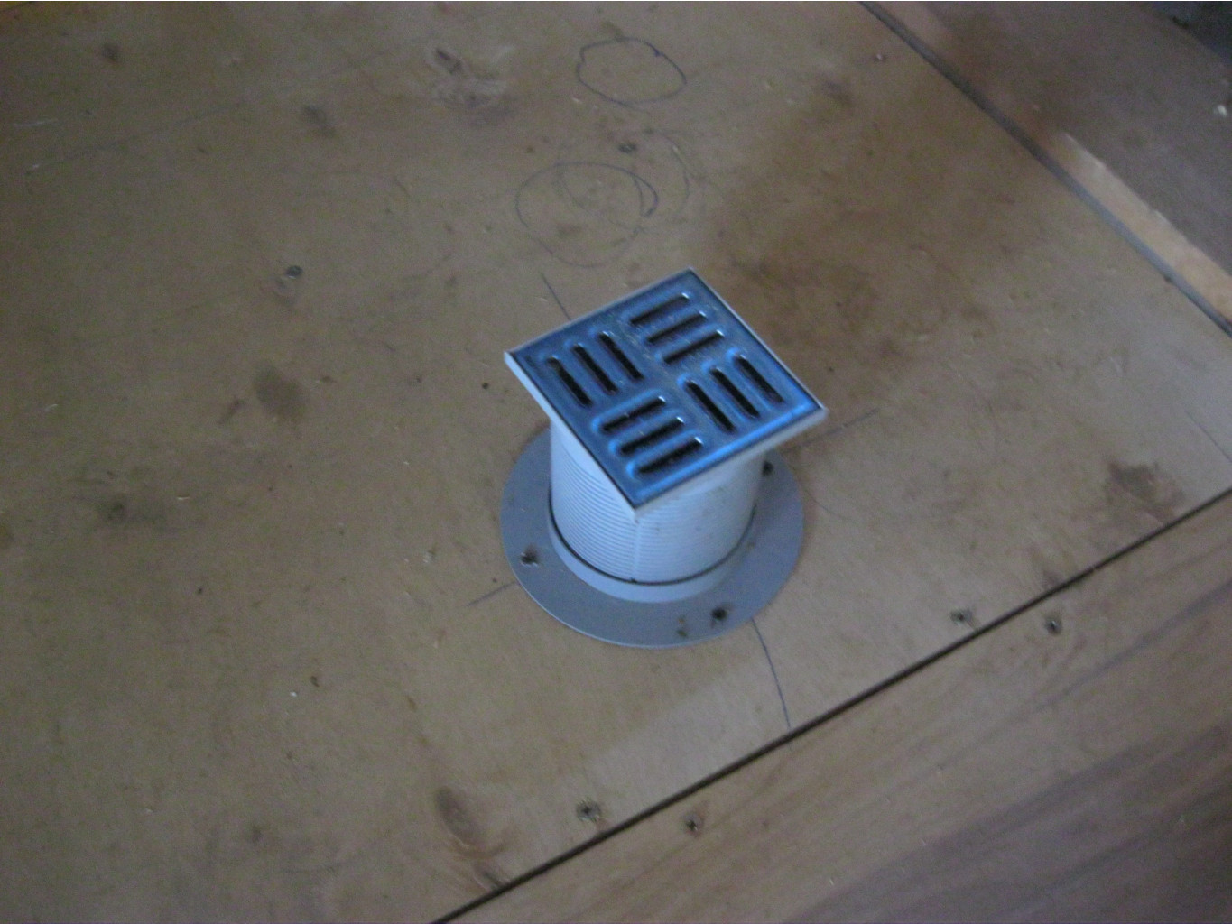 IMG 6250.JPG