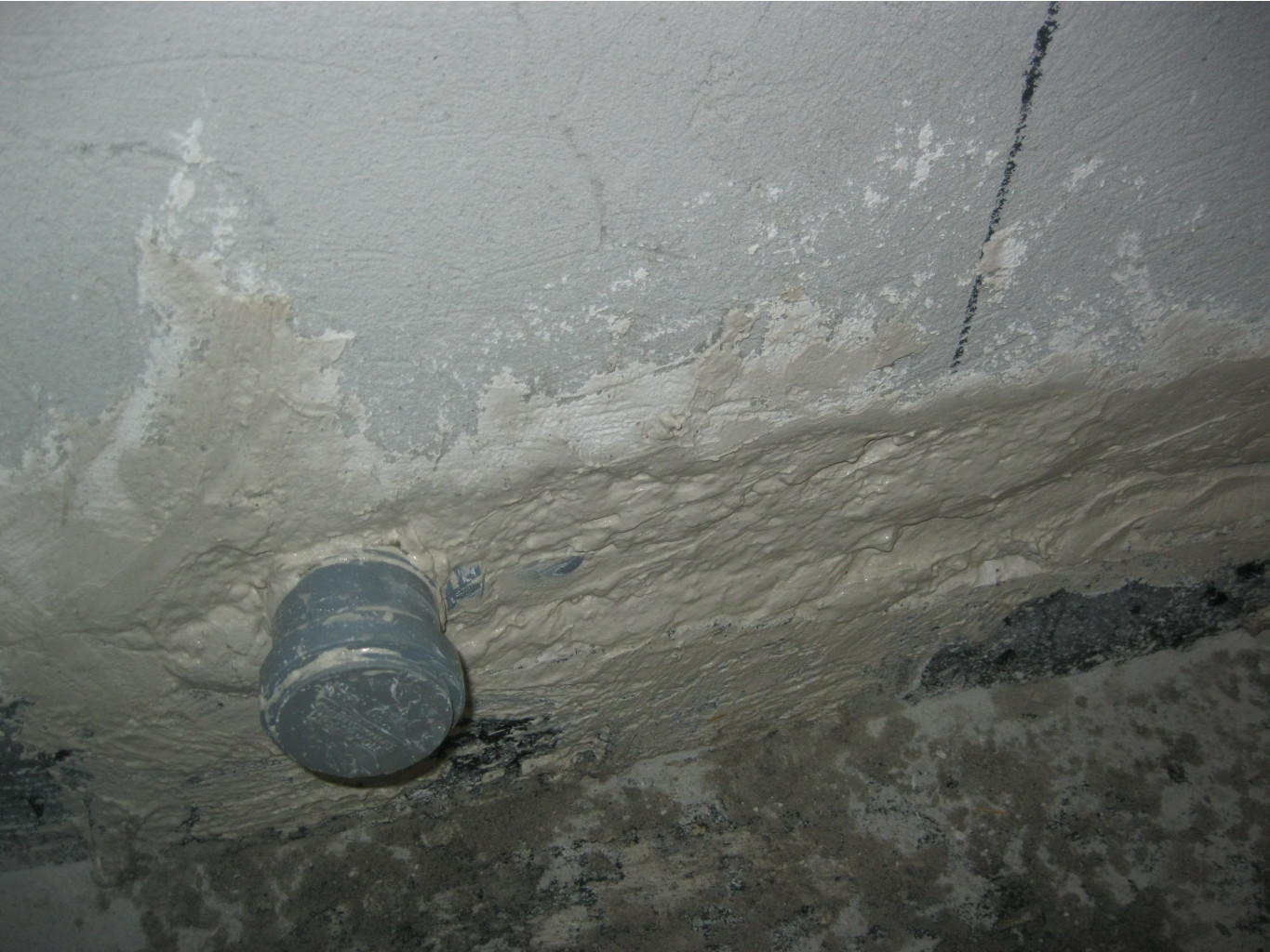 IMG 5385.JPG