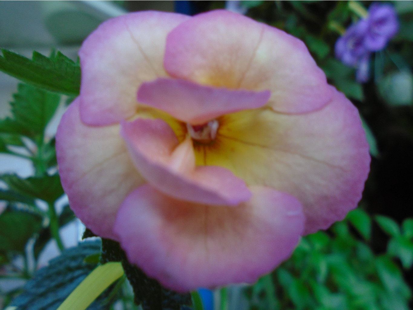 DSC01072.JPG