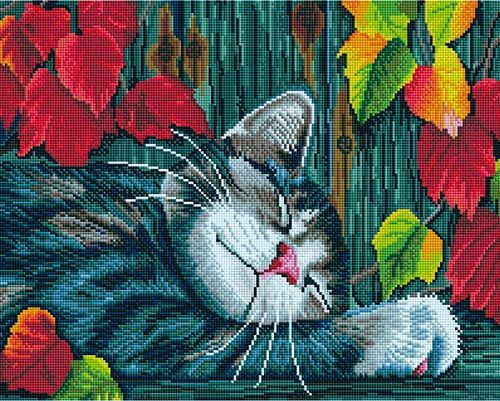   GF 769   40*50 : 760.00 RUB