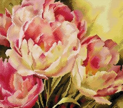   GF 457   40*50 : 760.00 RUB